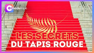 Les coulisses du tapis rouge au Festival de Cannes !