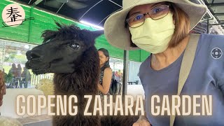 霹雳州Gopeng 新景点 - Zahara Gargan