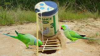 Build Deep Hole Parrot Trap Using FRANCE Bottle With Chopsticks - Easy Bird Trap Work 100%