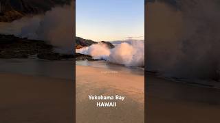 Yokohama Bay (Keawaula Beach) HAWAII  #shorts #oahu #surfing