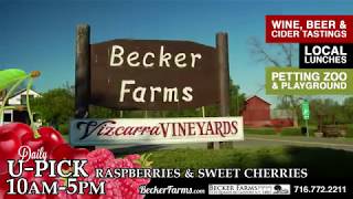 Becker Farms U-Pick Cherries & Raspberries