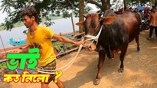 Bhai Koto Nilo? Qurbani Cows (Hozrotpur Paragram) Gorur Hat 2023 | Part 01 | ভাই কত নিলো ২০২৩ |