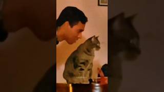 Funny Animals 2023 😂 - Funniest Cats and Dogs video 🐱 🐶 #shorts