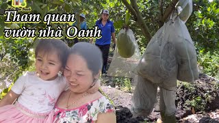 🇦🇺 #174 Tham quan Vườn mít 70.000m2 của Gia đình ở VIỆT NAM | nhà của Oanh