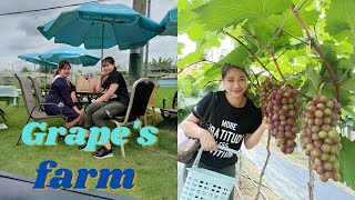 Long Ping  Grape's Farm @yuen long (Hk Vlog🇭🇰)