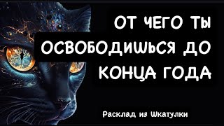 ПОТОК🔥 УЗНАЙ КАКОЕ ОСВОБОЖДЕНИЕ ТЕБЯ ЖДЁТ ДО КОНЦА ГОДА #tarot#таро#тароонлайн#гадание#шкатулкадаров