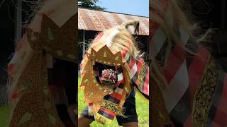 Barong buntut mesolah‼️ #barongan #barongbali #barongviral #barongbangkung