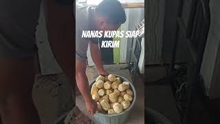 Nanas kupas siap kirim