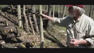 Japanese Hill-Side Stacking for Shiitake Mushrooms