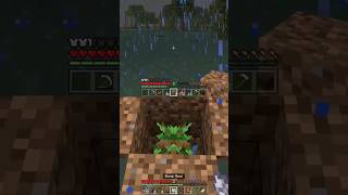 How Grow a Tree in Water Minecraft