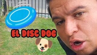 El discdog, el deporte mas extremo y acrobático de los perros.