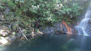 Waterfall at end of Tiger Fern Trail - Cockscomb, Belize