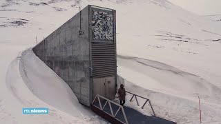 Deze bunker op Spitsbergen is de back-up van de wereld: 'Heeft succes al bewezen'