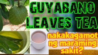 Benepisyong dulot ng guyabano/ Pinakuluang dahon ng guyabano