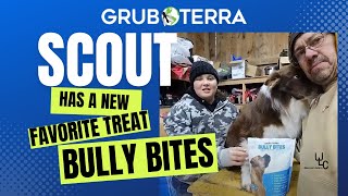 Bully Bites from Grub Terra Scouts New Favorite Treats