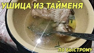 ✔️ Ушица из тайменя по быстрому