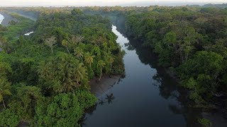 Parque Corcovado - Tres días en la montaña - Día 2 : Por los senderos de Sirena