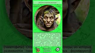 Б7 05  Высшие споровые растения  Sorts  Troll Кирилл #посмотри_перед_уроком #кратко