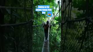 Kakum Canopy Walkway pass 🇬🇭 || best tourist site in Ghana #tourism #tour #adventure