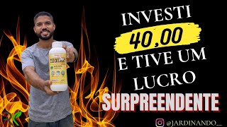 Investimento VS Lucro (APLICAÇAO DE HERBICIDA NÃO SELETIVO)