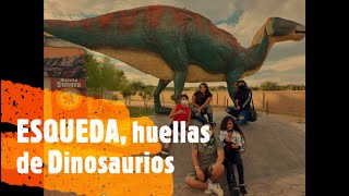 HUELLAS DE DINOSAURIOS EN ESQUEDA SONORA