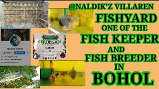 @naldikz villaren FISHYARD one of the FISH KEEPER and FISH BREEDER in BOHOL