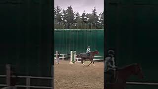 Моё первое занятие в дождь🥲 #equestrain #horse #equestrian #equestrianthegame #кони