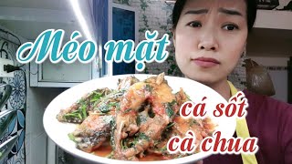 CÁ SỐT CÀ CHUA ngon méo mặt!