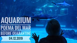 #сидимдома Гран Канария 2019. Aquarium Poema del Mar. Las Palmas.