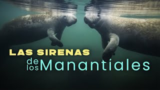 Las Sirenas de los Manantiales