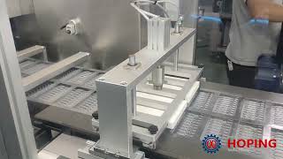 Ampoule Labeling, Automatic Feeding, Blister Packaging, Cartoning, and Case Packing Line