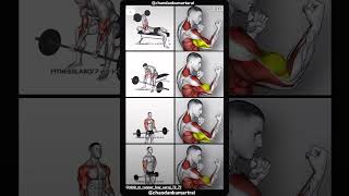 Top#workout#for#forearm#home at#gym#by#using#barbell#trending arms#workout#by@chandankumartarai .