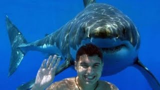 5 BRUTAL NA PAG ATAKE NG PATING SA MGA TAO | SHARK ATTACKS HUMAN