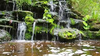 Beautiful Mountain River Flowing Sound, Relaxing Nature Sounds l Sleep l Meditation l Study