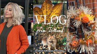 Vlog: из Ирландии| Дом за полмиллиона | Лирическая осень | Смелый шпиц🐶