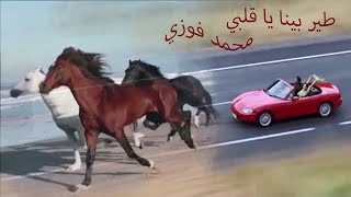 طير بينا يا قلبي محمد فوزي teer beena mohamed fawzi اعداد wafaa samaan