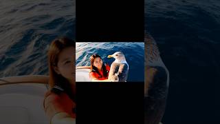 Seagull Joins Female Crew Member on Deck for a Heartwarming Encounter!#SeagullEncounter