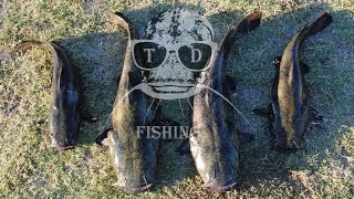 Flathead and Channel Catfishing 2