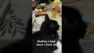 #booktube #book #booklover #bookworm #cat #blackcat #booklove #bookfan #books #reading #booknerd