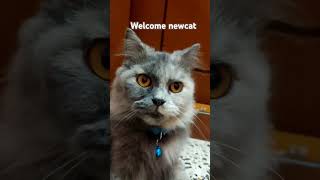 Welcome newcat | Like | Share | Subscribe