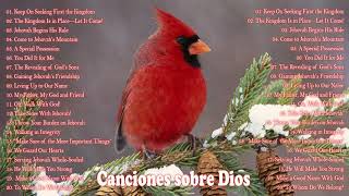 *** BELLISIMAS MELODIAS INMORTALES A GRAN ORQUESTA *** HD