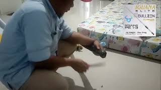 Unboxing Joran Bullzen Iguana Elite. Joran Terkuat Dibumi 🤣🤣