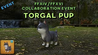 Torgal Pup - Minion Showcase | FFXIV / FFXVI Collaboration Event