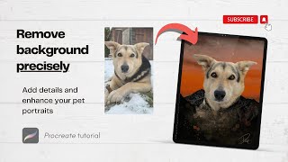 Precisely remove background and edit photo in Procreate for pet portraits