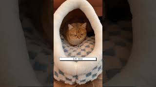 Cat bed #petpet #cat #catbed