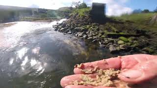 GOPR2024 Feed pollution into Kinglas Water Loch Fyne 6 Aug 2023