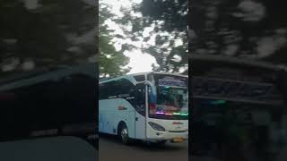 Klakson Telolet Basuri Ala Bus Humaira