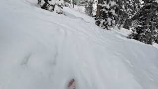 Crazy solitude day#shorts #funny #fyp #skiing #powder #solitude #utah #solitude @anddone6261