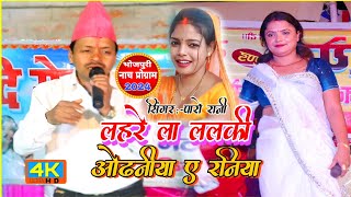 #video - #Paro_Rani ke nach program | लहरे ला ललकी ओढनीया ए रनिया | bhojpuri Nach program 2024