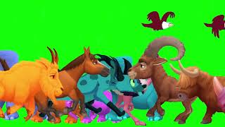 animal running green screen stampede crossover jungle animal stampede  green screen animal stampede